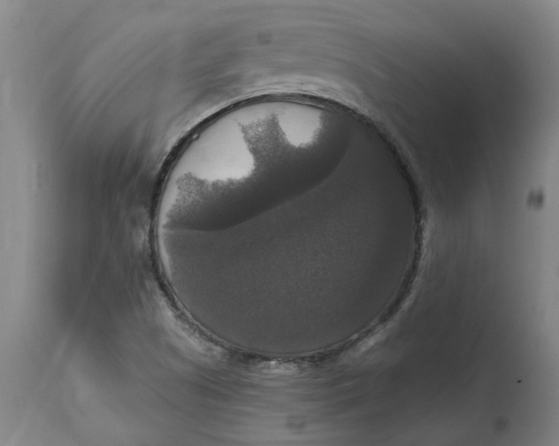 X0000114721505200911121721