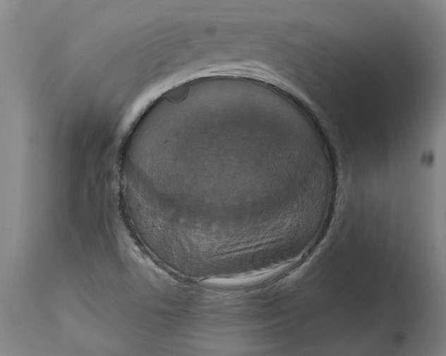 X0000114721506200911121721