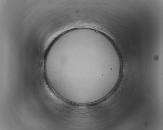 X0000114721507200911121721