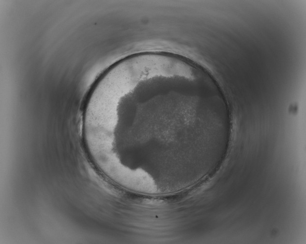 X0000114721509200911121721