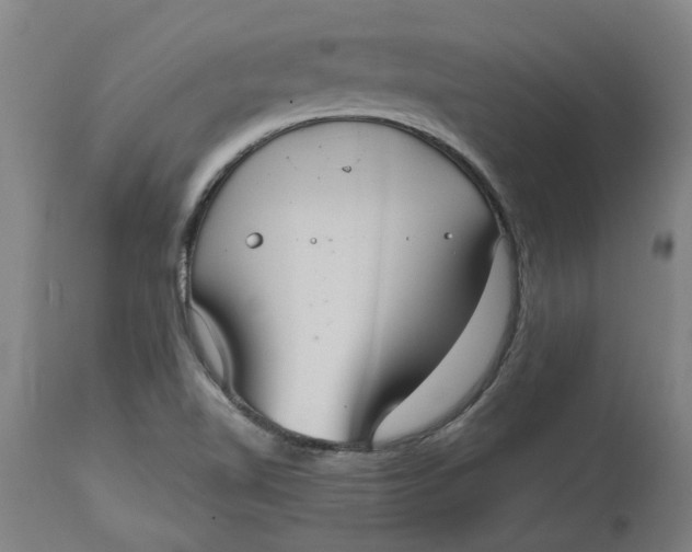 X0000114721510200911121721