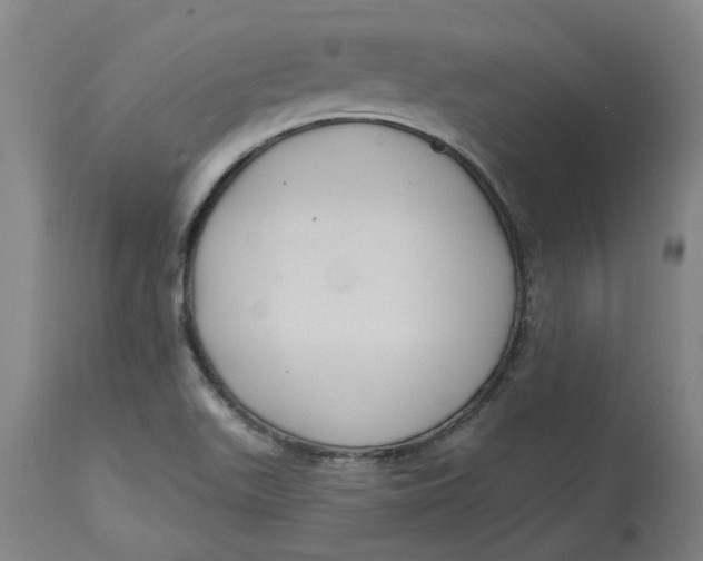 X0000114721511200911121721