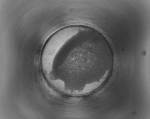 X0000114721513200911121721