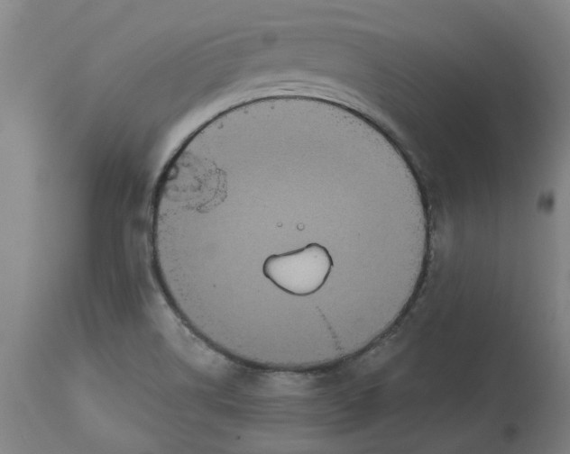 X0000114721514200911121721