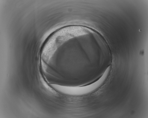 X0000114721515200911121721