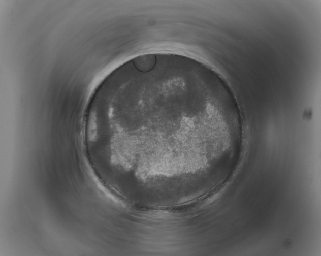 X0000114721517200911121721