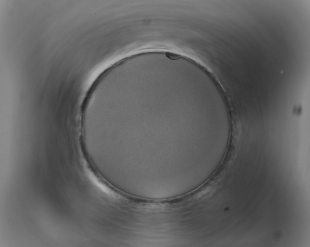 X0000114721519200911121721