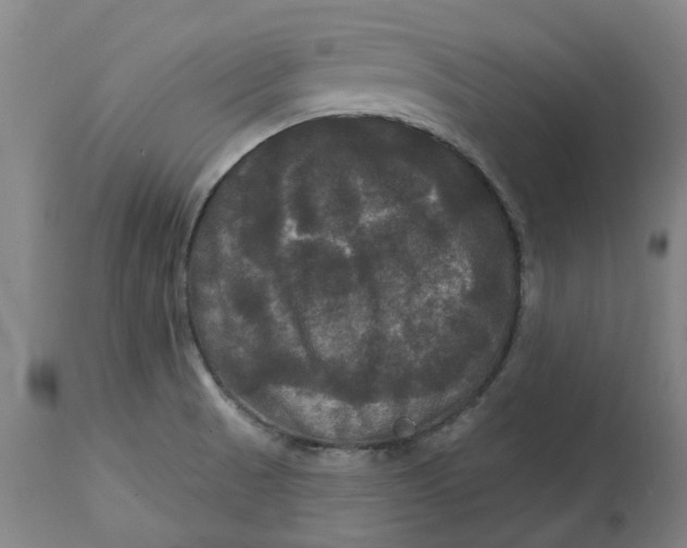 X0000114721521200911121721