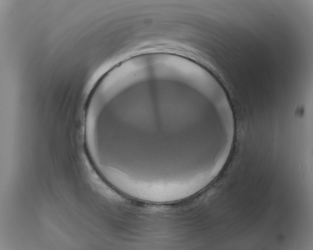 X0000114721522200911121721