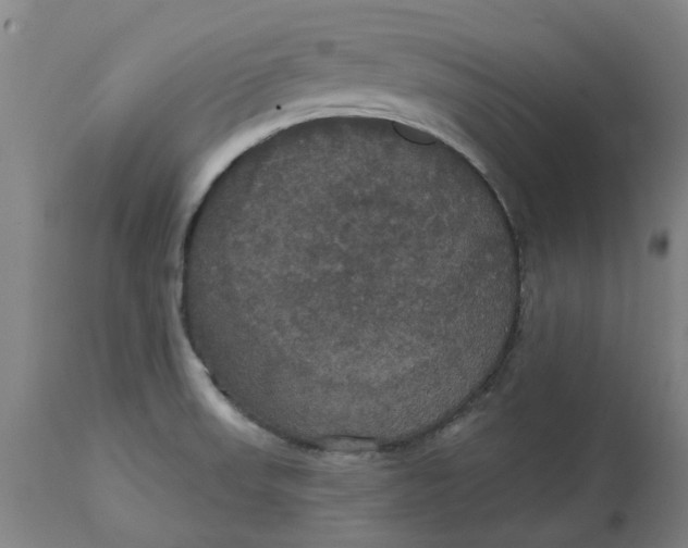 X0000114721523200911121721