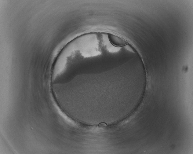 X0000114721525200911121721