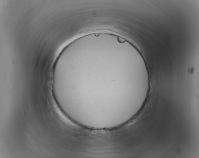 X0000114721526200911121721