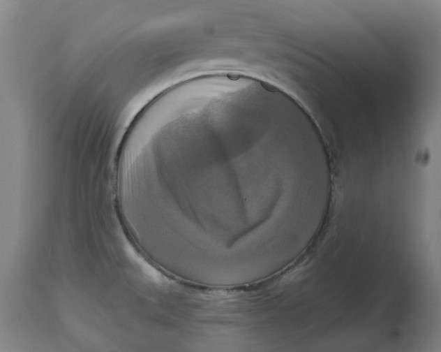 X0000114721527200911121721