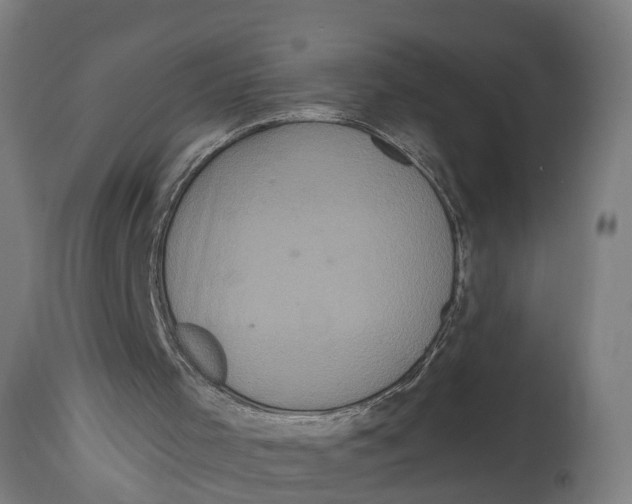 X0000114720001200911181415