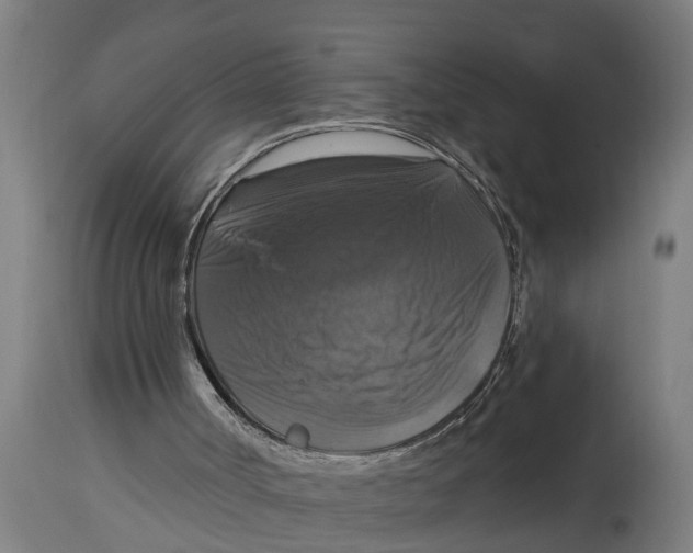 X0000114720002200911181415