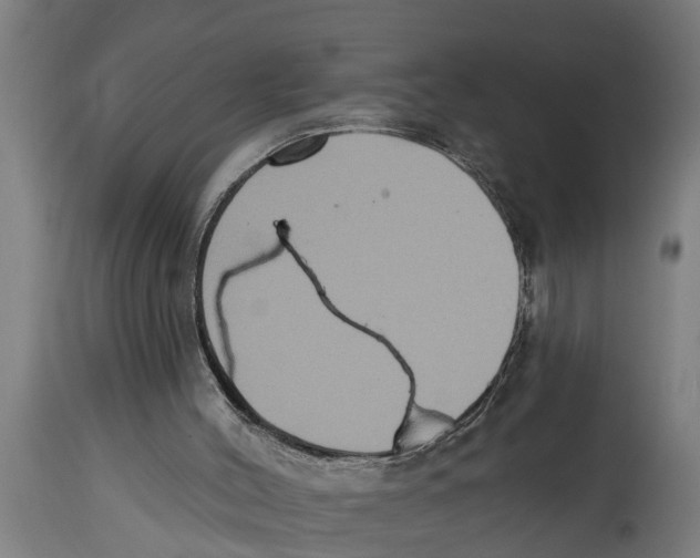 X0000114720004200911181415