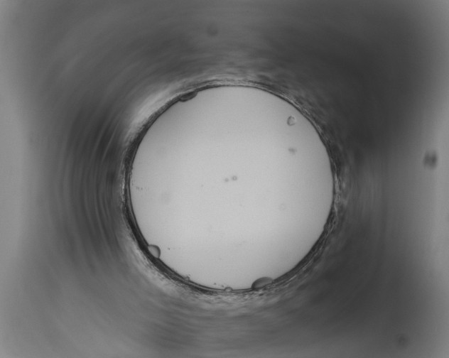 X0000114720005200911181415