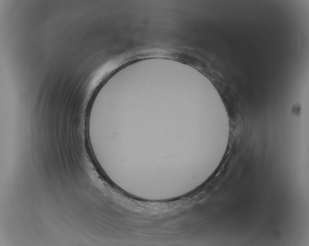 X0000114720006200911181415