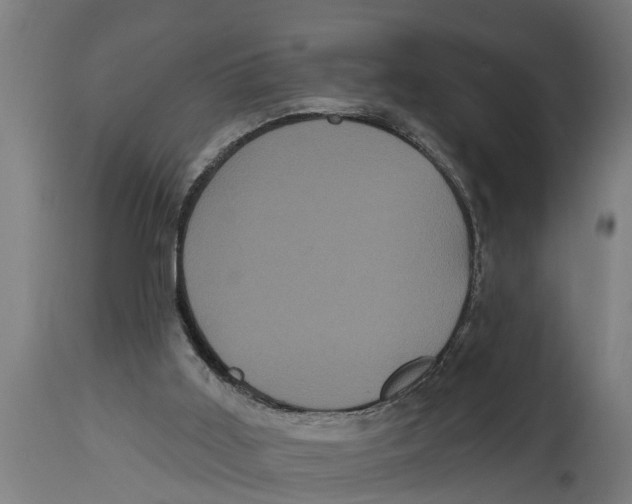 X0000114720011200911181415