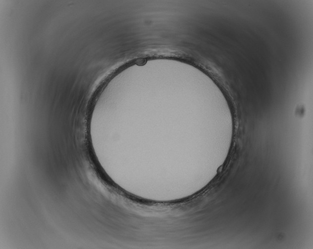 X0000114720012200911181415