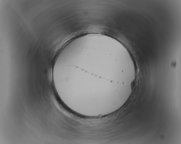 X0000114720013200911181415