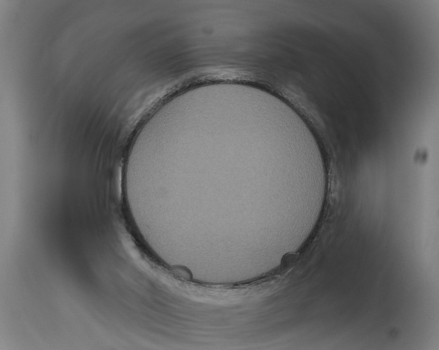 X0000114720014200911181415