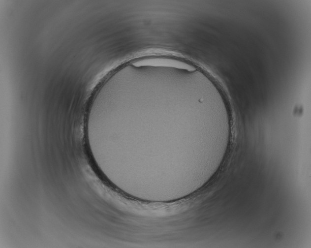 X0000114720015200911181415