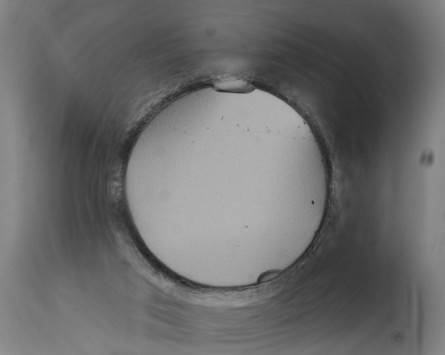 X0000114720017200911181415