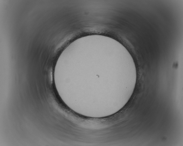 X0000114720020200911181415