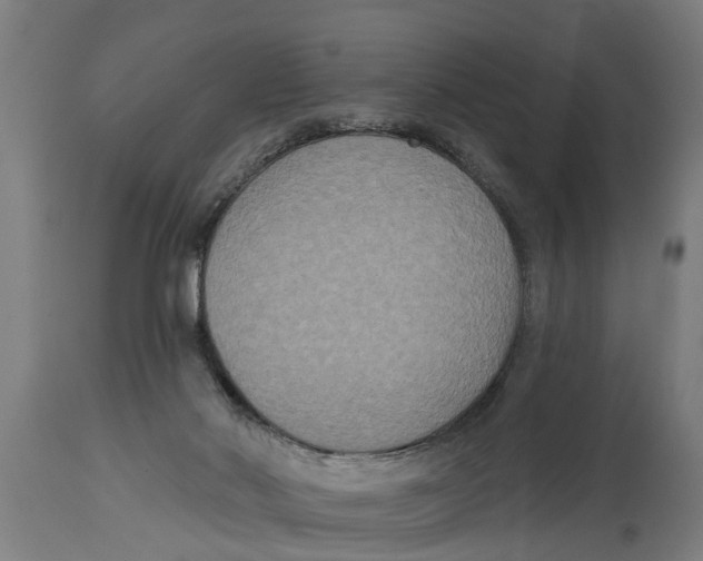 X0000114720022200911181415