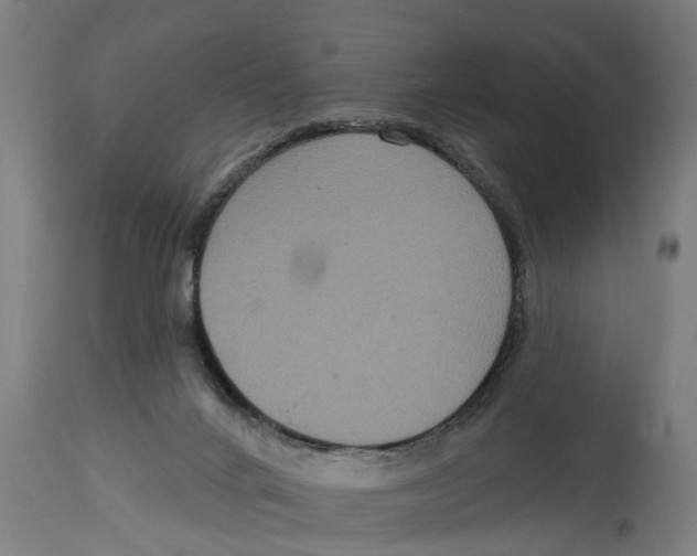 X0000114720024200911181415