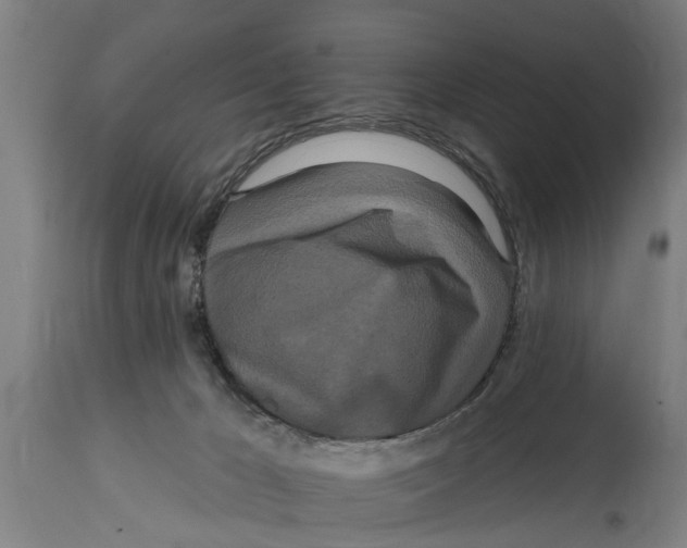 X0000114720029200911181415