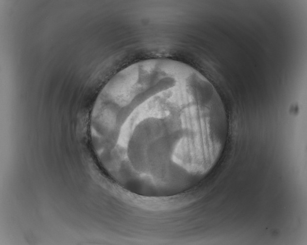 X0000114720030200911181415