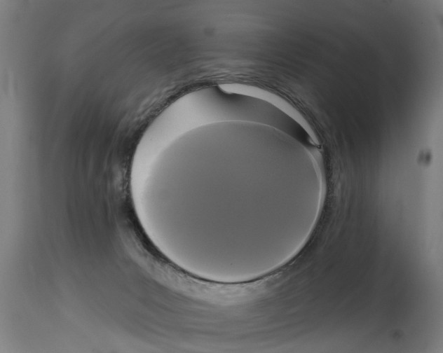 X0000114720031200911181415