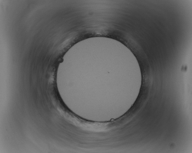 X0000114720032200911181415