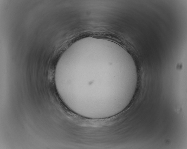 X0000114720033200911181415