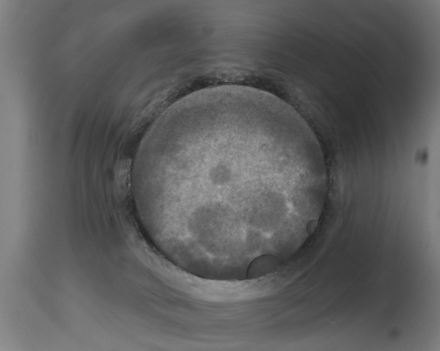 X0000114720034200911181415