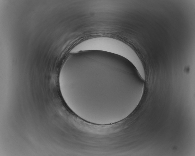 X0000114720035200911181415