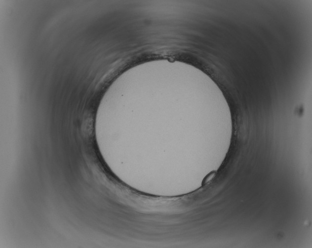 X0000114720036200911181415