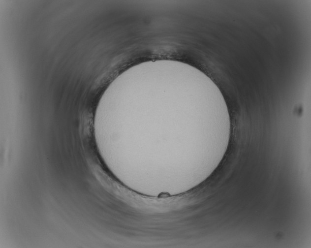 X0000114720038200911181415