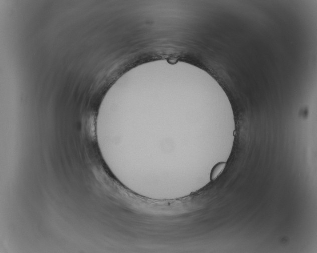 X0000114720042200911181415