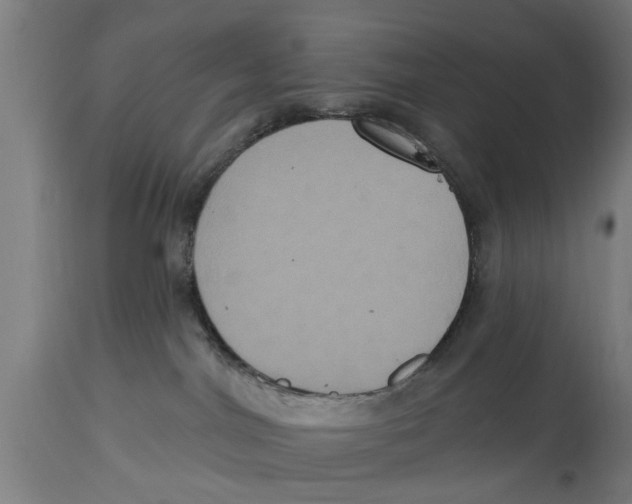 X0000114720044200911181415