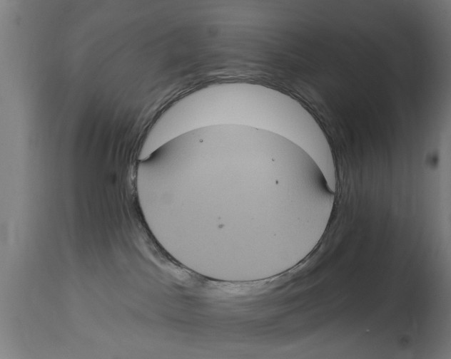 X0000114720045200911181415