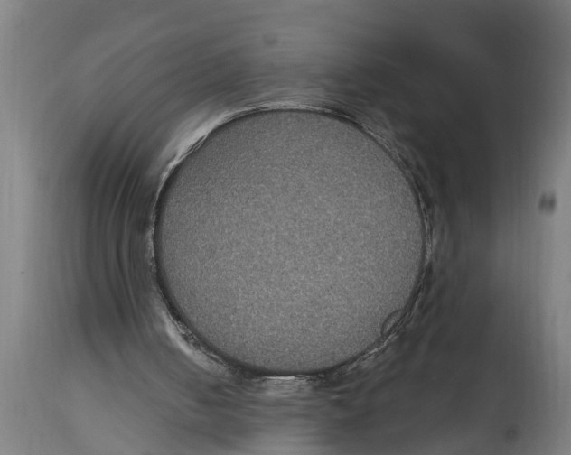 X0000114720050200911181414