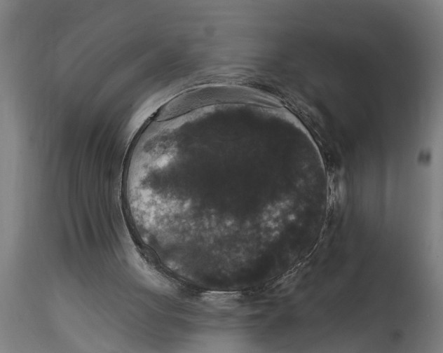 X0000114720051200911181414