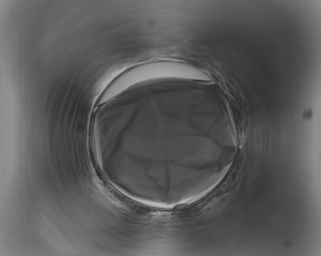 X0000114720052200911181414