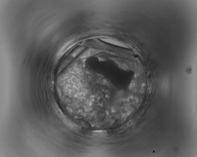 X0000114720053200911181414