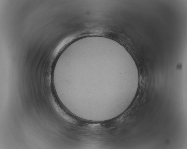 X0000114720054200911181414