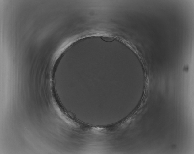 X0000114720055200911181414