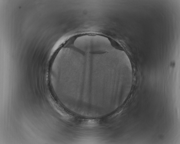 X0000114720056200911181414